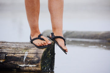 Shamma Cruzers Now Available to Order!