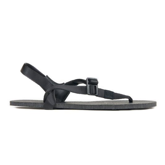 Cruzers (Back Ordered)
