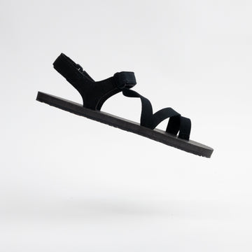 TrailStars Alpha: Wholesale