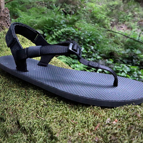 Shamma Chargers sandals on mossy stump