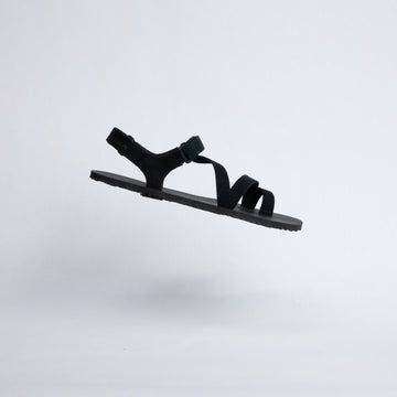 Yard Sale - TrailStars Maximus