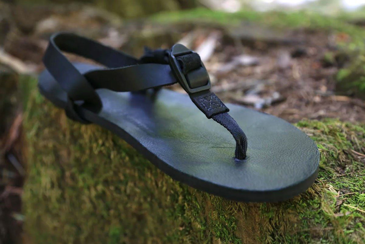 Shamma All Blacks sandal on mossy rock