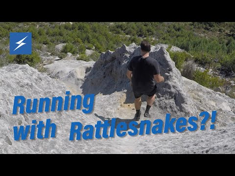 New Run With Us in Bonny Doon, CA