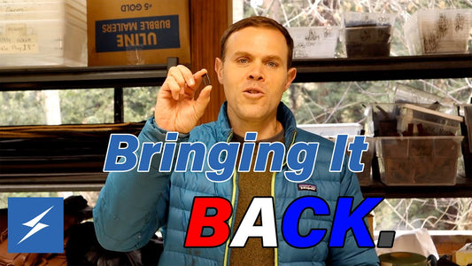 Bringing It Back! New Year's Resolution Update!