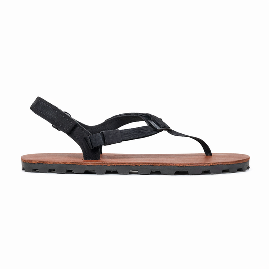 Elite — Ibex / Leather