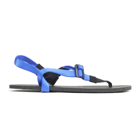 Pacific Blue Cruzers