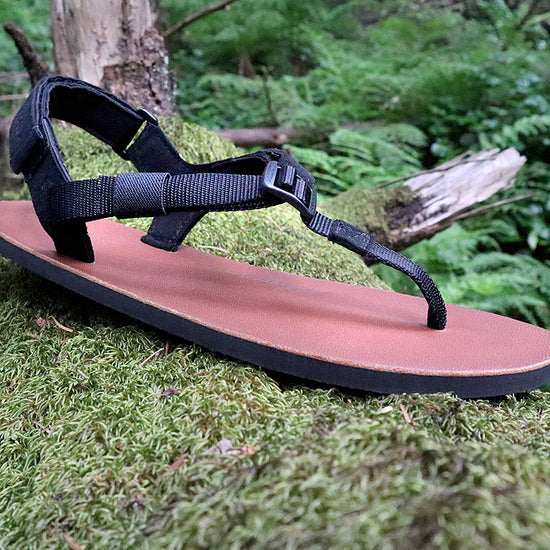 Shamma Chargers LE on mossy log