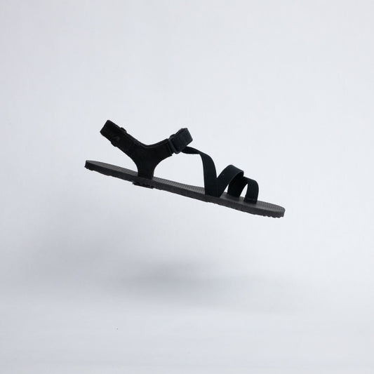 Yard Sale - TrailStars Maximus