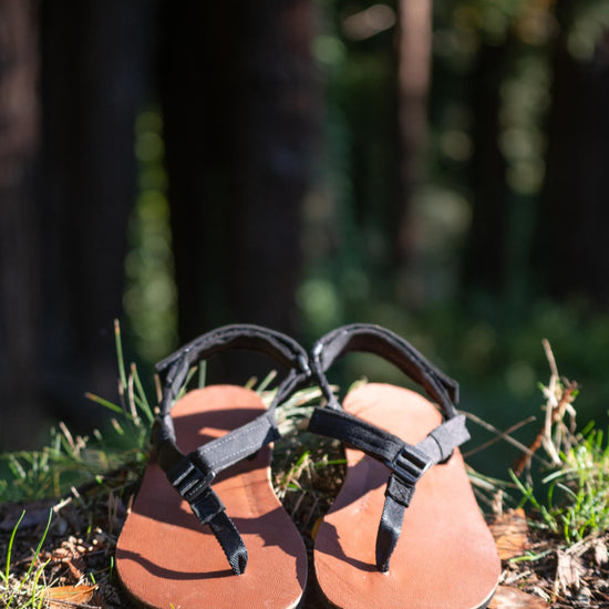 A pair of leather Shamma Maximus resting in the forest.