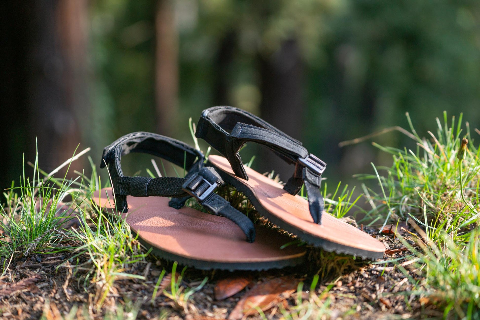 a pair of leather Shamma Maximus sitting in the forest.